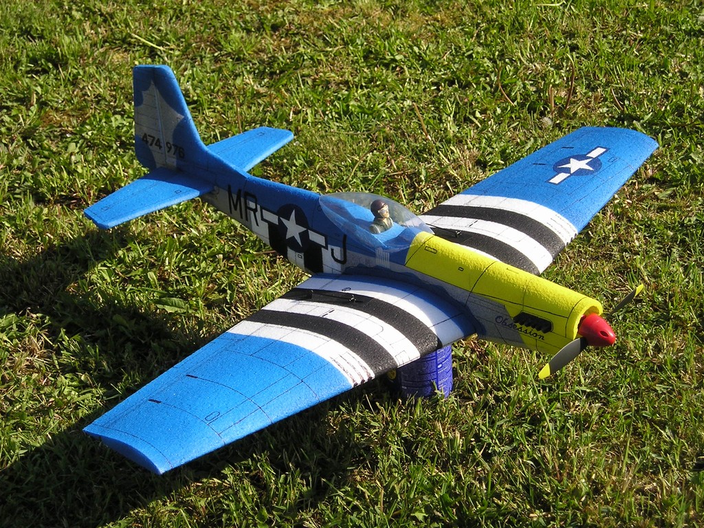 P1010103.JPG