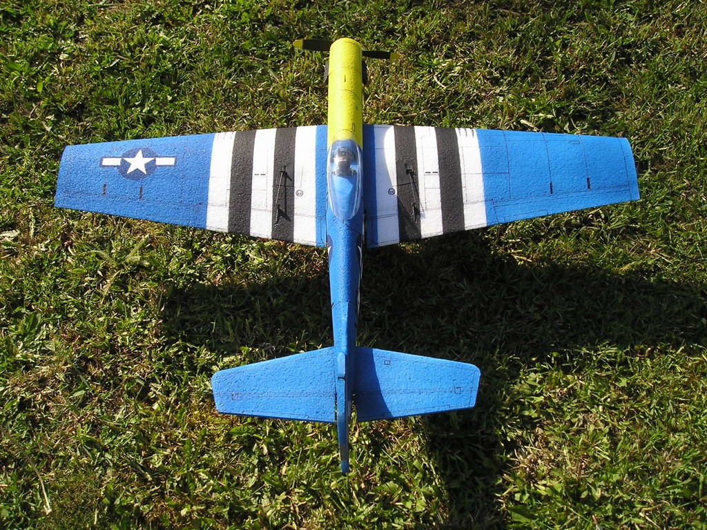 P1010107.JPG