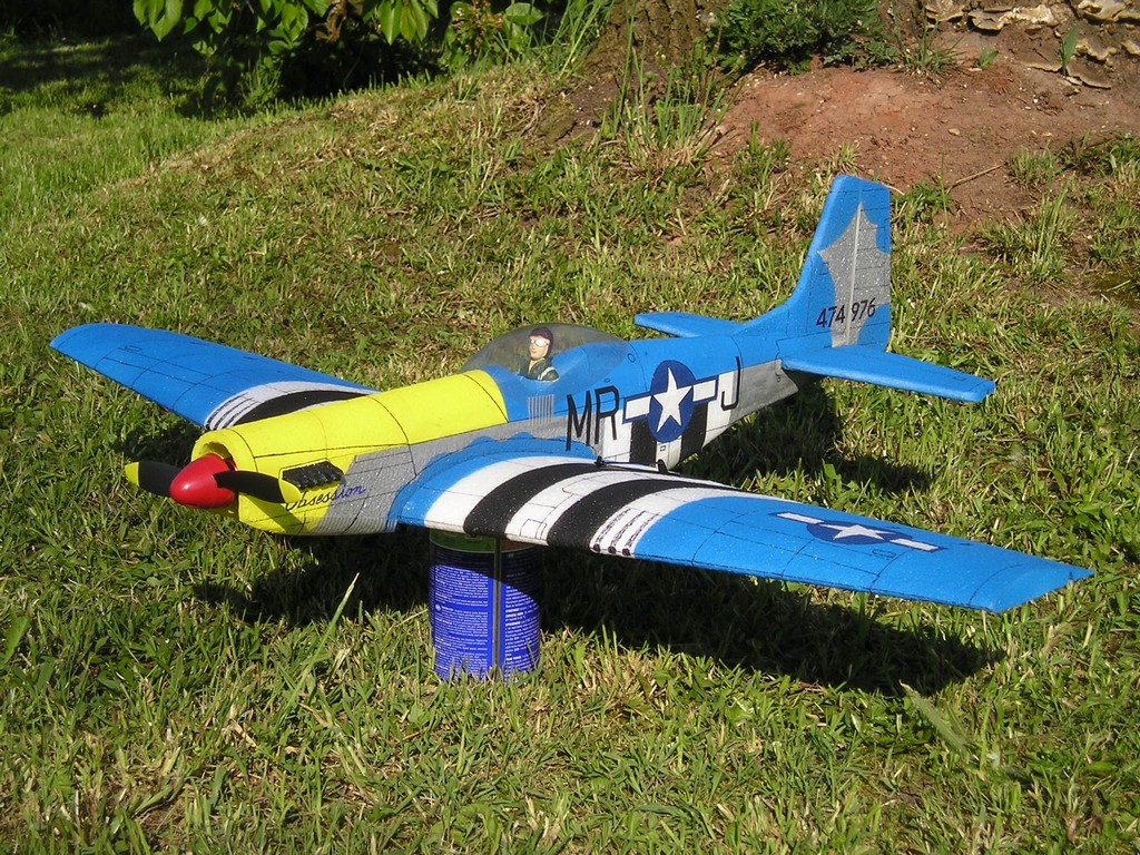 P1010108.JPG